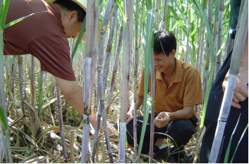 竞技宝(中国)官方网站-登录入口