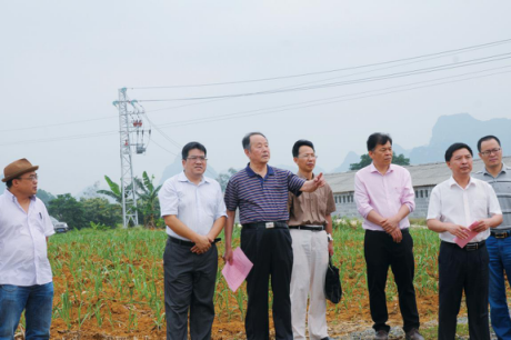 国家甘蔗工程技术研究中心专家到南华集团考察交流